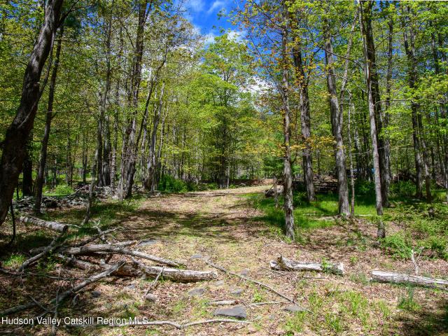 Land for sale in Olive, New York