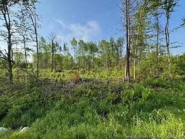House for sale in Saint David Parish, Dumbarton Parish
