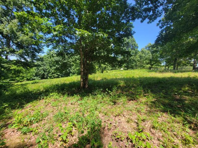 Land for sale in Gainesville, Missouri
