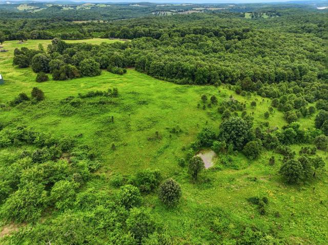 Land for sale in Gainesville, Missouri