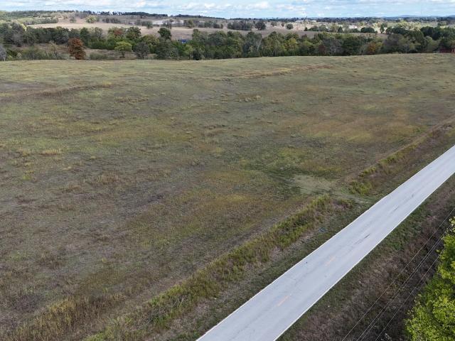 Land for sale in Theodosia, Ozark County