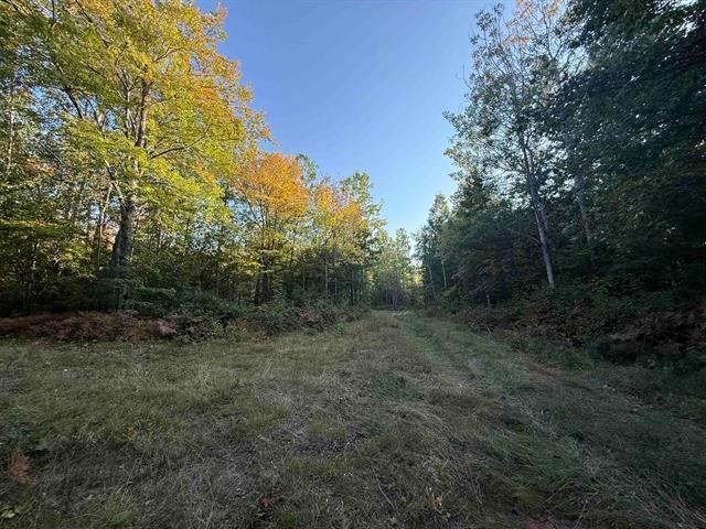 Land for sale in Iron River, Wisconsin