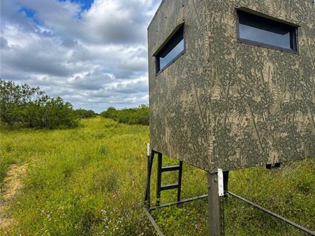 Land for sale in Zapata, Zapata County
