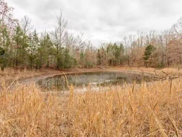 House for rent in Ark