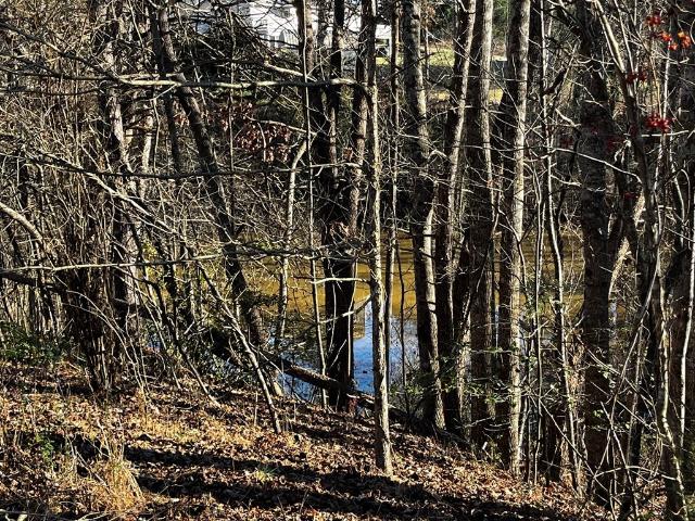 Land for sale in Virginia