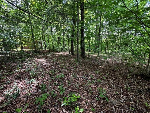 Land for sale in Virginia