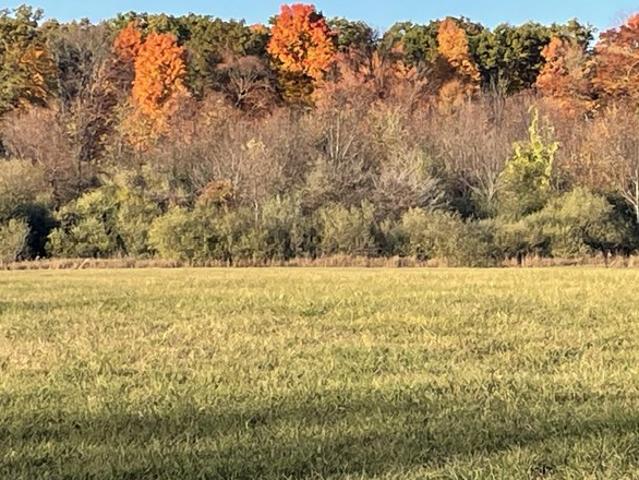 Land for sale in Big Rapids, Michigan