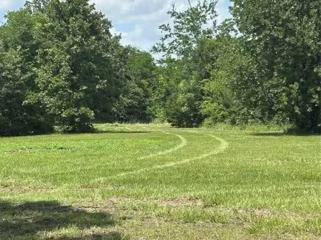 House for sale in Sulphur Springs