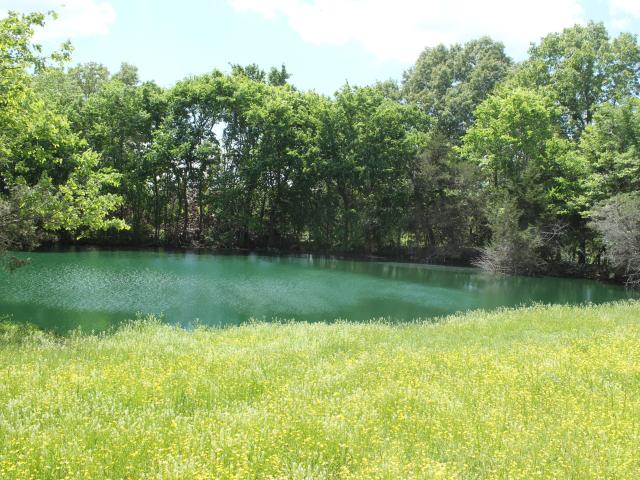 Farm for sale in Thayer, Oregon County