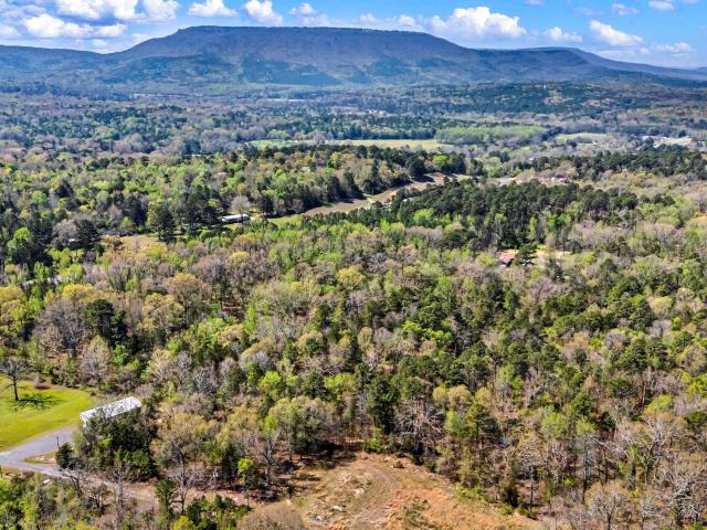 Land for sale in Dardanelle, Yell County