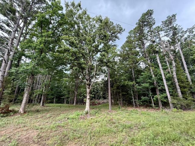 Land for sale in Licking, Missouri