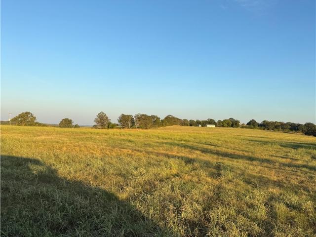 Land for sale in Crumpler Subdivision, Lead Hill