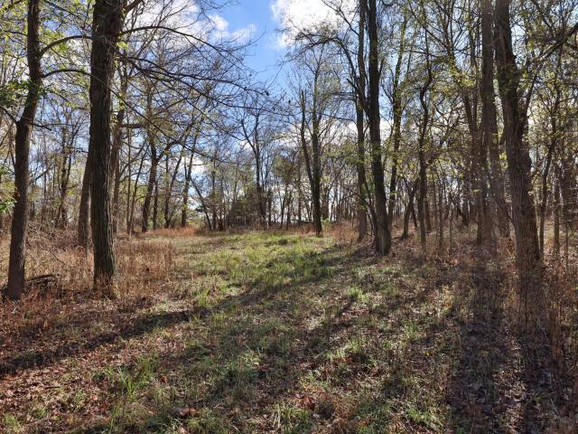 Land for sale in Walnut Grove, Greene County