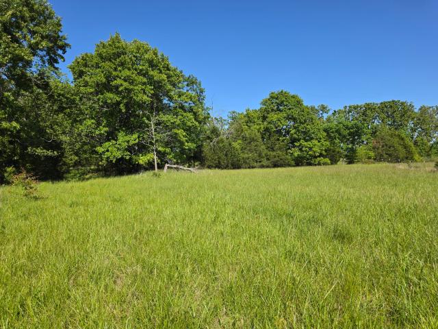 Land for sale in Howell, Missouri