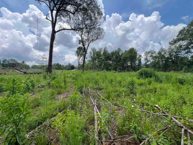Land for sale in Ark