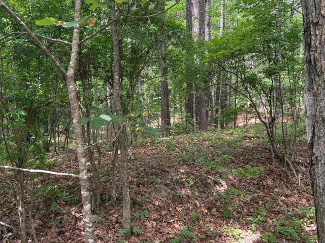Land for sale in Ark
