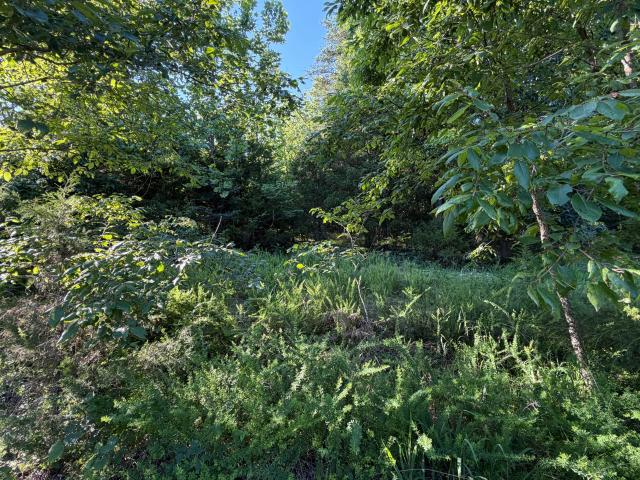 Land for sale in Rockaway Beach, Missouri