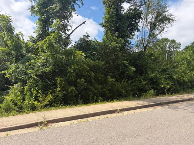 Land for sale in Shannon, Missouri