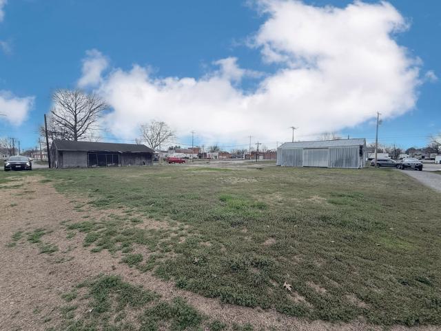 Land for sale in Christopher, Illinois