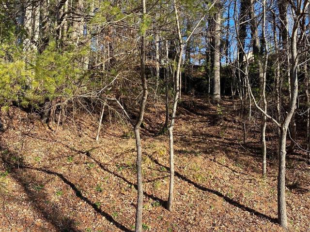 Land for sale in Transylvania, North Carolina