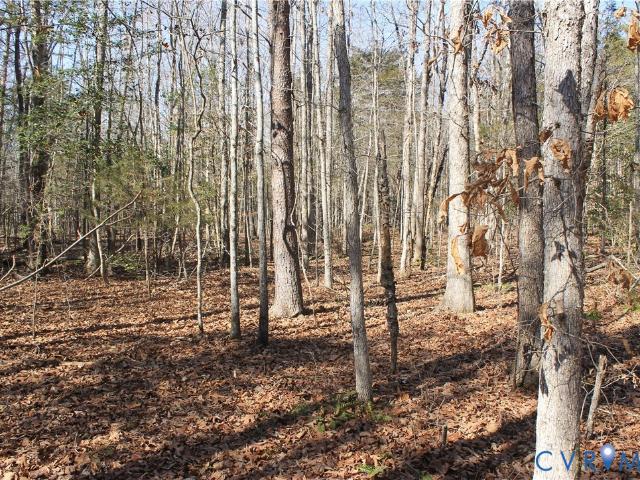 Land for sale in Virginia
