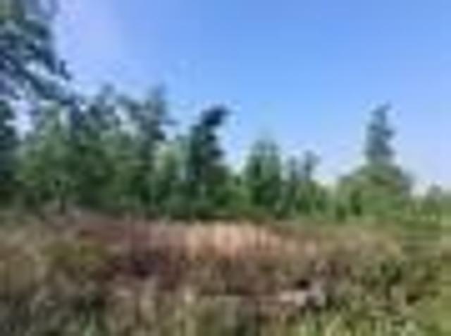 Land for sale in Lincoln, Missouri