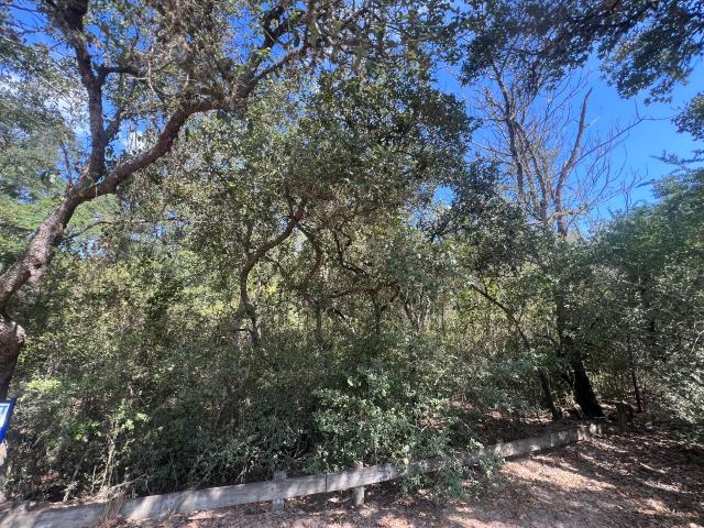 Land for sale in Sheridan, Colorado County