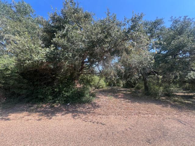 Land for sale in Sheridan, Colorado County