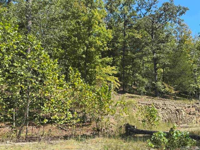 Land for sale in Alexander, Arkansas