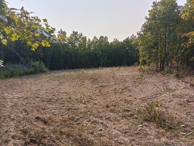 Land for sale in Shannon, Missouri