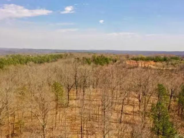 House for rent in Ark