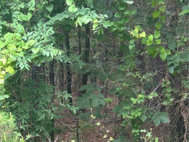 Land for sale in Ark
