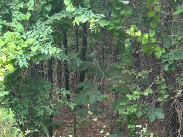 Land for sale in Ark