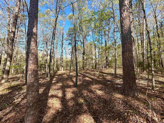 Land for sale in Ark
