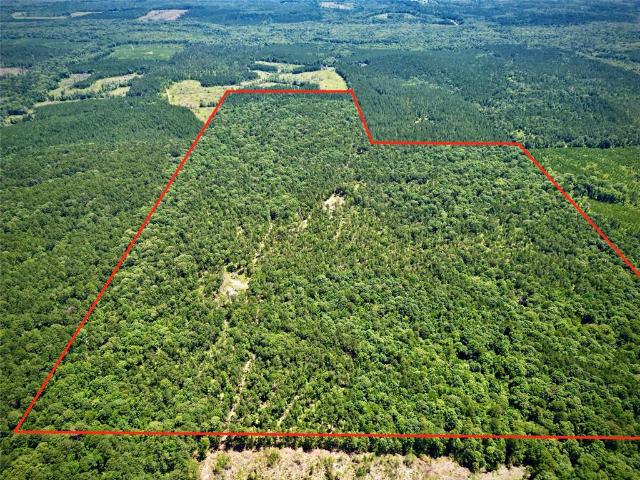 Land for sale in Bernice
