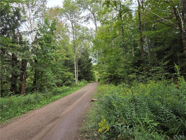 Land for sale in Lewis, New York