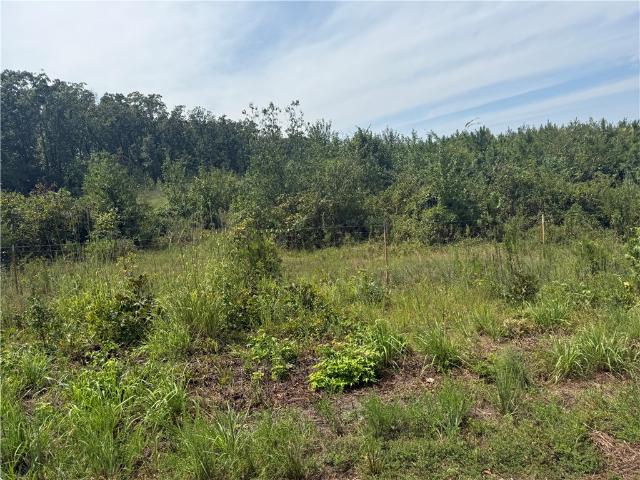 Land for sale in Dover, Pope County