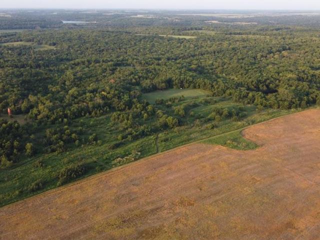Farm for sale in Xenia, Bourbon County