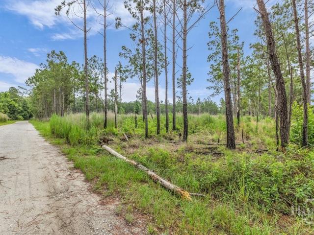 Land for sale in Richmond Hill, Georgia