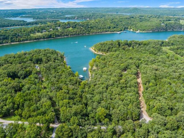 Land for sale in Golden City, Barry County