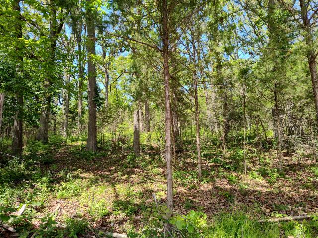 Land for sale in Buffalo, Dallas County
