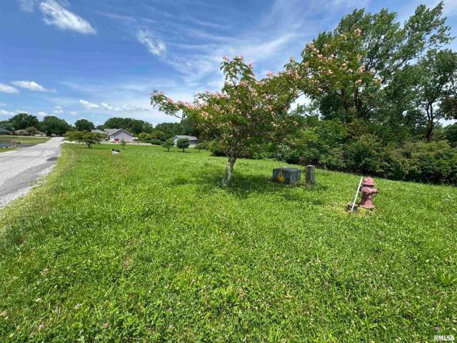 Land for sale in Perry, Illinois