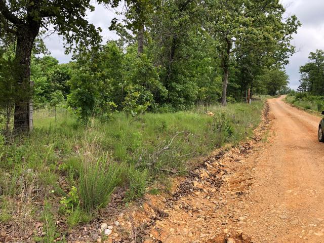 Land for sale in Koshkonong, Missouri