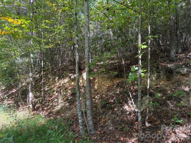 Land for sale in Waynesville, Haywood County