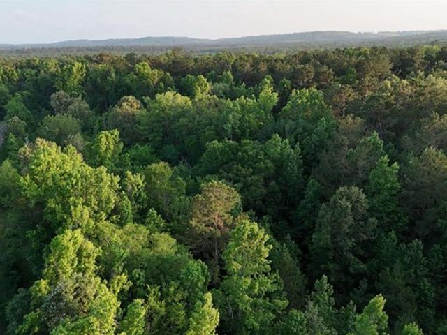 Land for sale in Rusk, Texas
