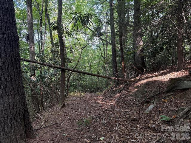 Land for sale in Waynesville, Haywood County