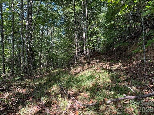 Land for sale in Waynesville, Haywood County