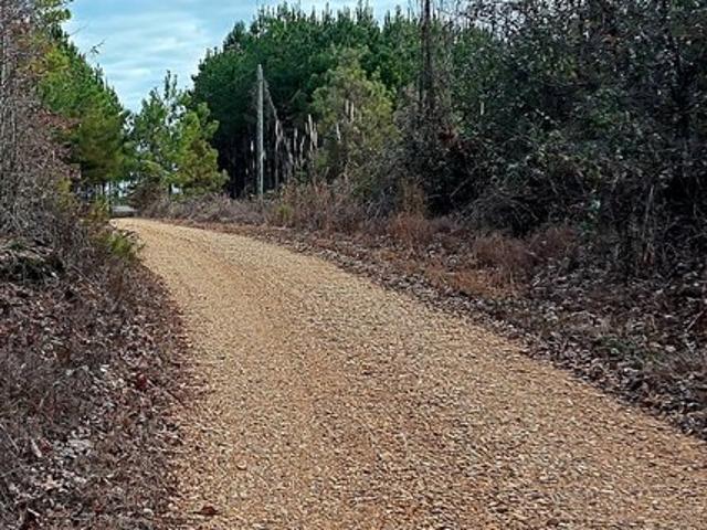 Land for sale in Guin, Alabama