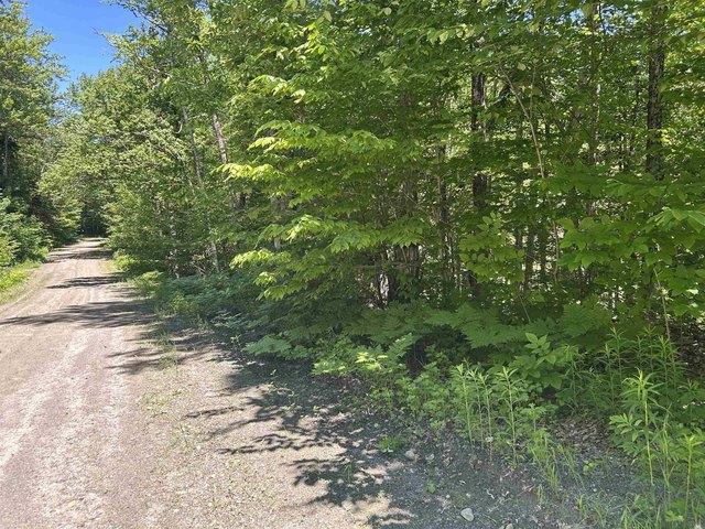 Land for sale in Jamaica, Vermont