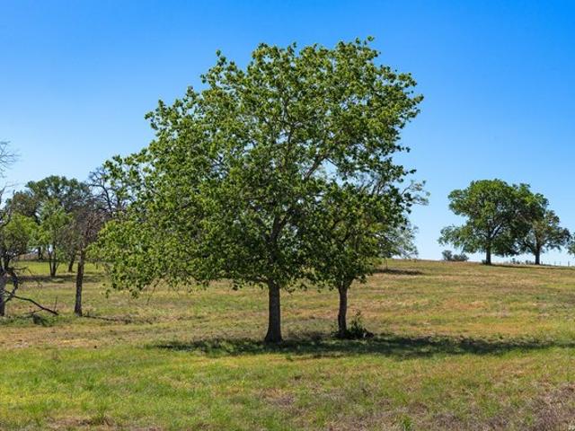 Farm for sale in Kendall, Texas